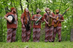 tigerman woods